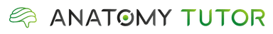 AnatomyTutor.ai